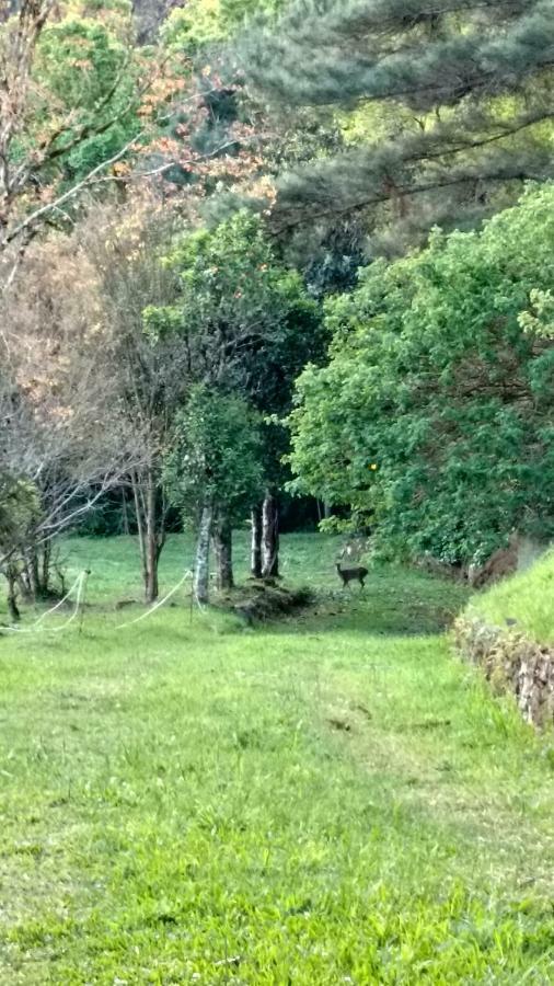Estalagem Reserva Da Collina Gramado Exteriör bild