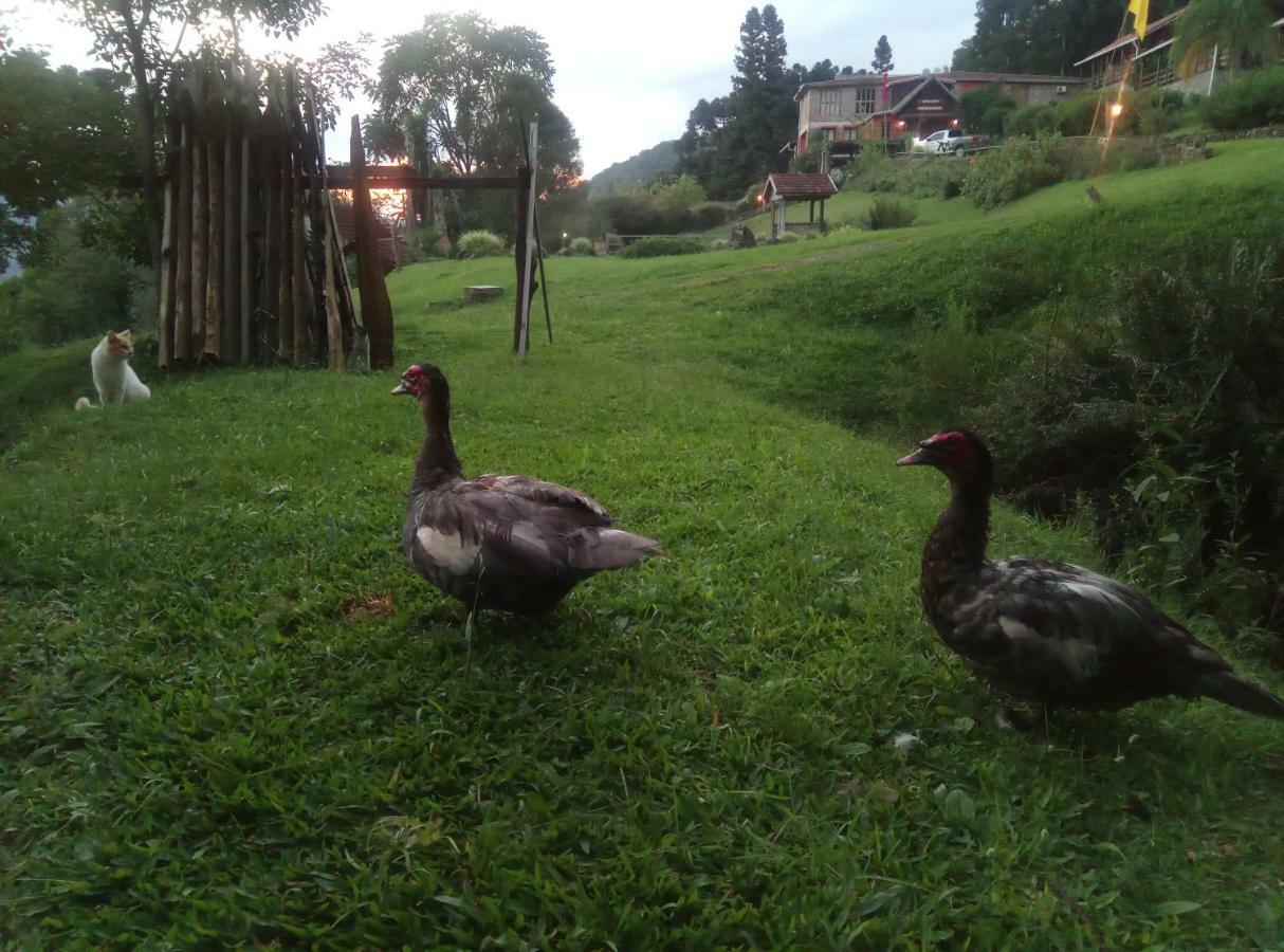 Estalagem Reserva Da Collina Gramado Exteriör bild